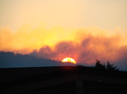 DSC00958