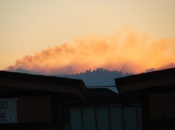 DSC00963