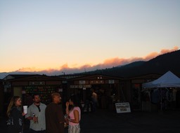 DSC00967