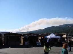 DSC01003