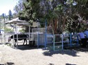 DSC02472