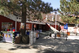 DSC04496