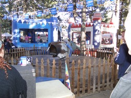 DSC05289