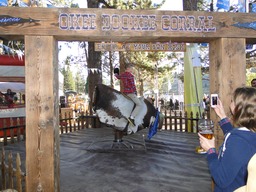 DSC05291