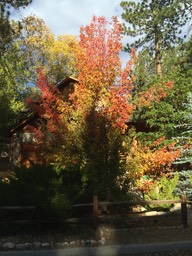 2014-10-08 IMG_2358
