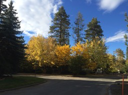 2014-10-08 IMG_2359