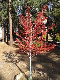 2014-10-08 IMG_2360