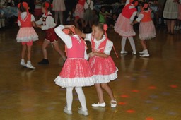 DSC07424