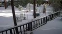 2015-12-11 Back Snow IMG_2889