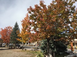 2015-10-27 IMG_2827