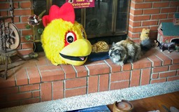 2021-08-29 | Cali | Chicken | IMG_5254