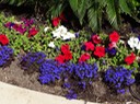 2017-04-22 DSC01984